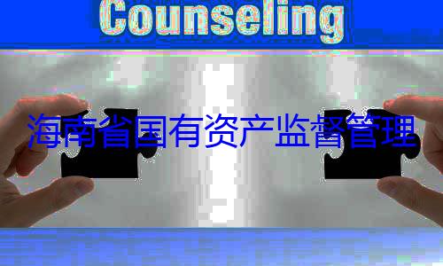 有福接受审资产监督管海南省国有委副书记王理委员会党查调查